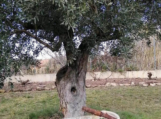 Casa Telma Y Hugo Casa rural *